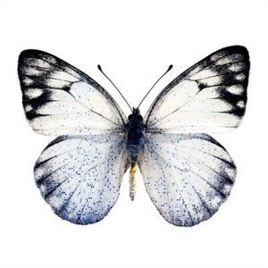 Meet your Posher, Michaela